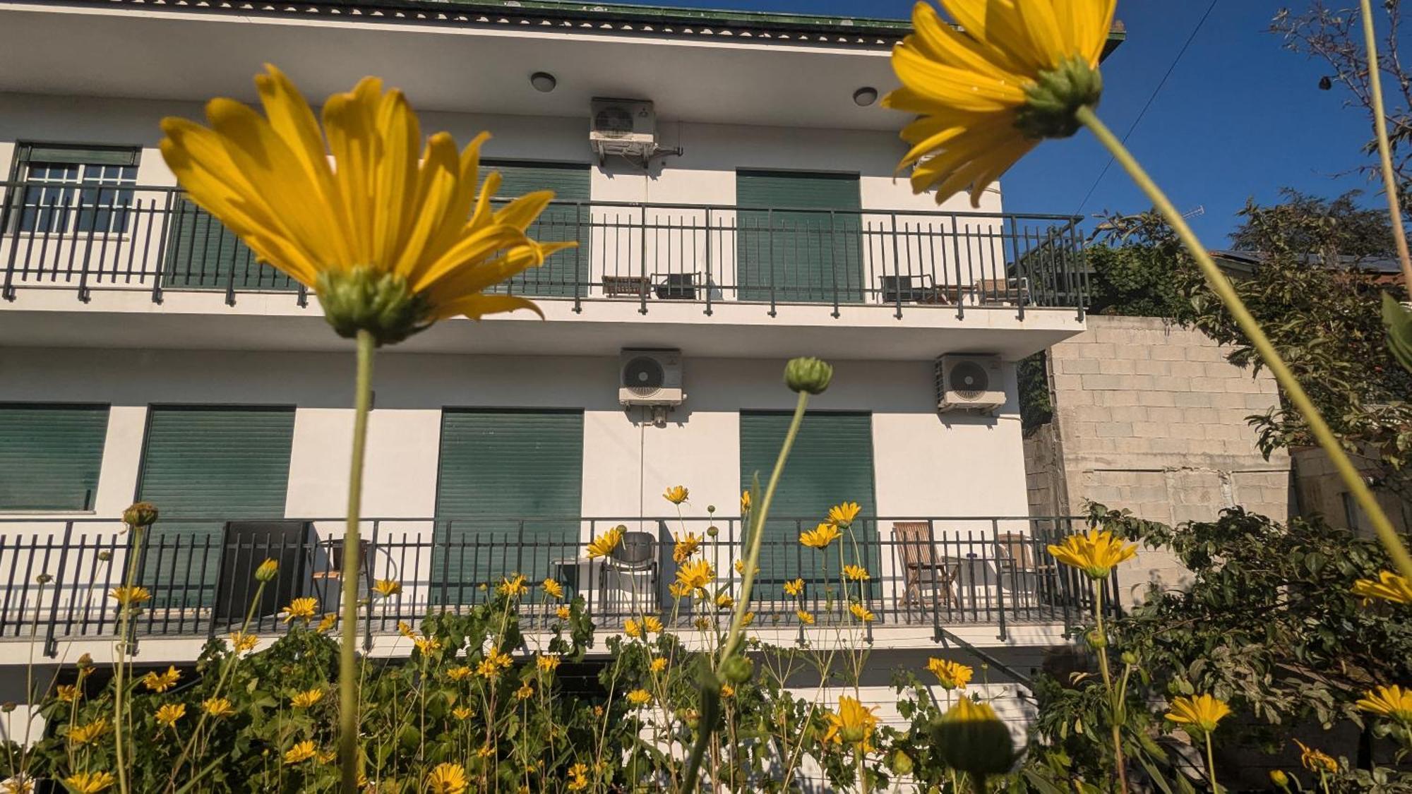 Casa Do Olival Hotel Peso da Regua Bagian luar foto