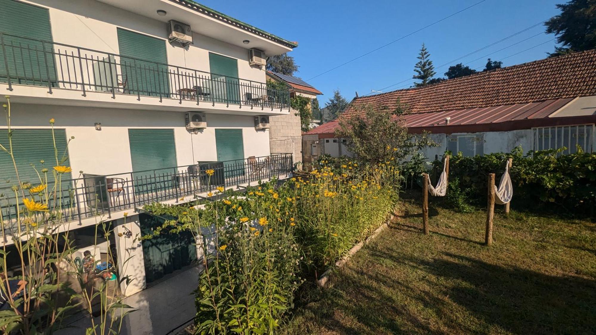 Casa Do Olival Hotel Peso da Regua Bagian luar foto